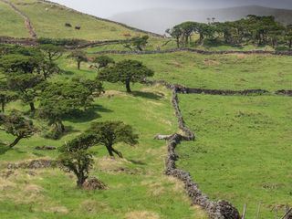 Die Azoren - Gruenes Inselparadies