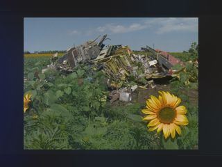 Mord am Himmel: Wer hat Flug MH17 abgeschossen?
