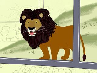 PEEKs ZOO - Von Affen, Giraffen & Co.