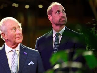 Die Prinzen von Wales - Kampf um die Krone