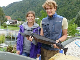 Anna und die wilden Tiere
