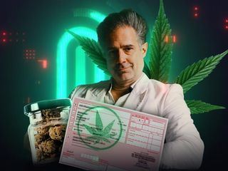 Gras online kaufen