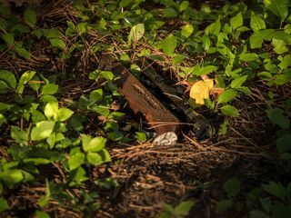 Hours to Kill - Zeitachse des Todes