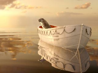 Life of Pi - Schiffbruch mit Tiger