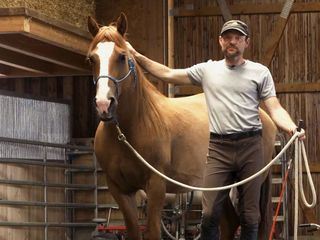 Der Pferdefluesterer und sein Mustang - Pferdetraining im Appenzellerland