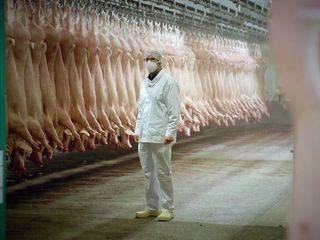 Wen duerfen wir essen?