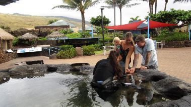 Traumhaus gesucht: Hawaii