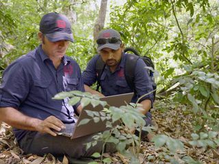 Freie Bahn fuer Wildtiere