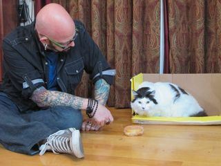 Der Katzenfluesterer