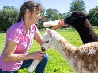 Hofgeschichten - Ackern zwischen Alpen und Ostsee
