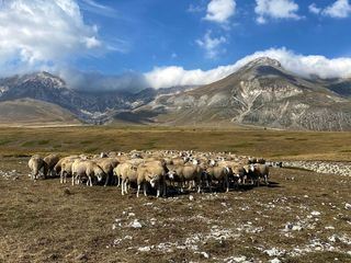 Im Herzen Italiens - Von den Abruzzen nach Kalabrien