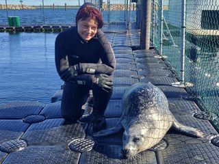 Harte Hunde - Die Urlaubsvertretung