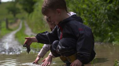 Hem till bondgården
