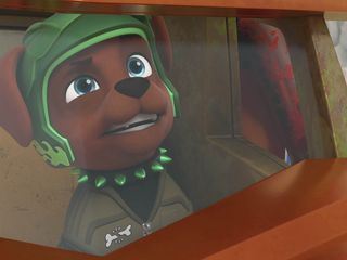 Paw Patrol: Helfer auf vier Pfoten