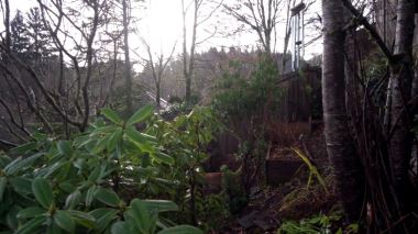 Mountain Life - Traumhaus gesucht