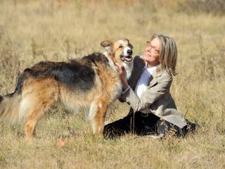 Darling Companion - Ein Hund fuers Leben Darling Companion - Ein Hund fuers Leben