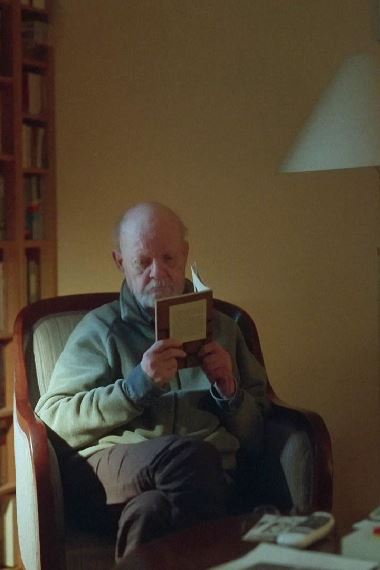 Dokument inifrån: Det svenska styckmordet