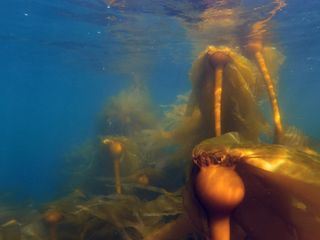 Kanadas Nationalparks