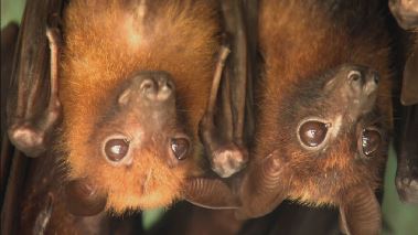 Expedition X - Dem Unheimlichen auf der Spur