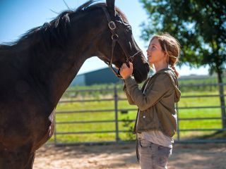 Mein wildes Herz - Alles auf Sieg