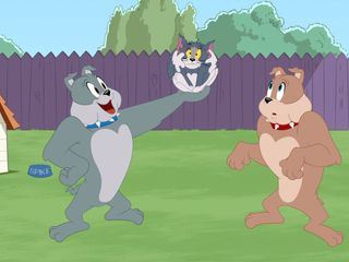 Die Tom und Jerry Show Die Tom und Jerry Show