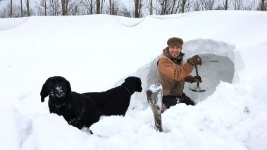 Hundra procent bonde