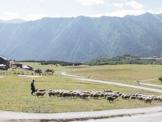 Georgiens letzte Pferdemaenner