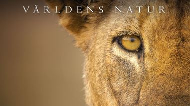 Vaerldens natur: Kingdom