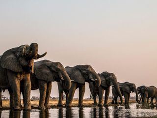 Okawango - Fluss der Traeume