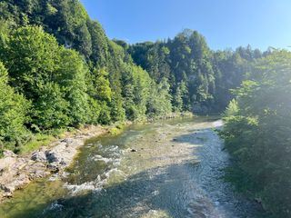 Zurueck zur Natur