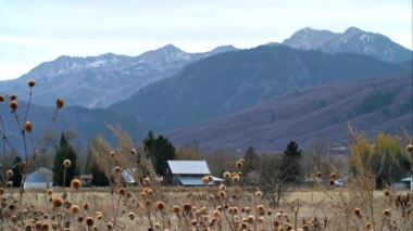 Mountain Life - Traumhaus gesucht