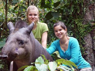 Anna und die wilden Tiere