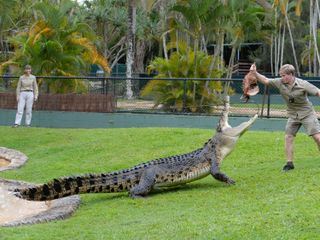 Die Irwins - Crocodile Hunter Family