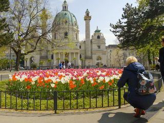 Die Wurzeln der Wiener Gaerten