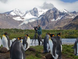 Insel der Pinguine - Suedgeorgien