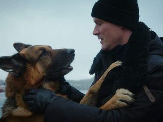 Hudson e Rex