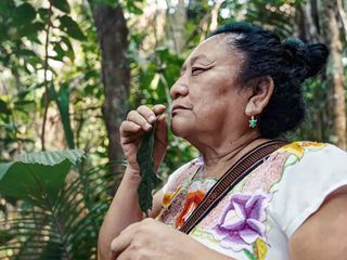 Belize - Wir sind Maya