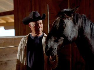 Ritt zum Gipfel: Im Sattel durchs Virgental