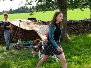 Tiere bis unters Dach