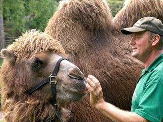 Leopard, Seebaer & Co.