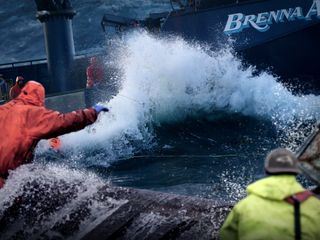 Fang des Lebens - Der gefaehrlichste Job Alaskas
