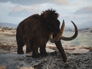 Primo indiziato: La terra!