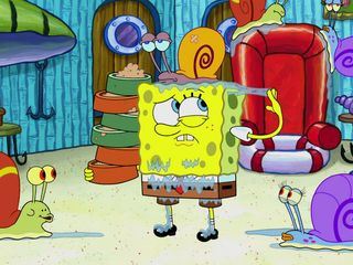 SpongeBob Schwammkopf