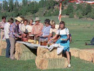 Der Sechs Millionen Dollar Mann