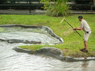 Die Irwins - Crocodile Hunter Family