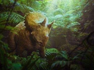 Unter Dinos - Geheimnisse der Urzeit Unter Dinos - Geheimnisse der Urzeit