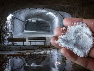 Deutschlands Schaetze - Expedition in die Erdgeschichte