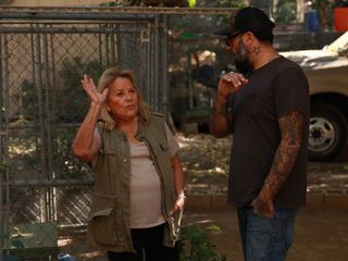 Pet Palace - Haustraeume fuer Haustiere