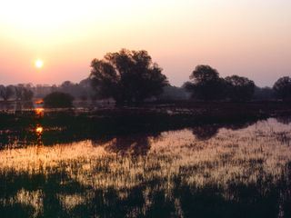 Fluss ohne Grenzen - Auenwildnis an der March