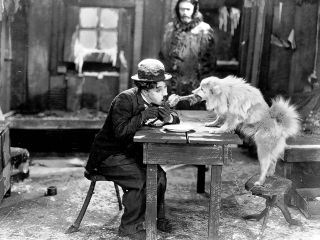 Goldrausch Goldrausch